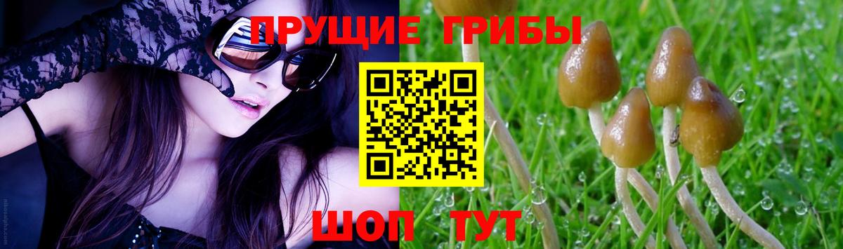 Чебаркуль  Псилоцибиновые грибы ЛСД  Вход с VPN 